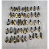 Image 1 : Lot of 50 Fossilized Buffalo Teeth