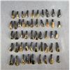 Image 1 : Lot of 50 Fossilized Buffalo Teeth