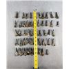 Image 3 : Lot of 50 Fossilized Buffalo Teeth