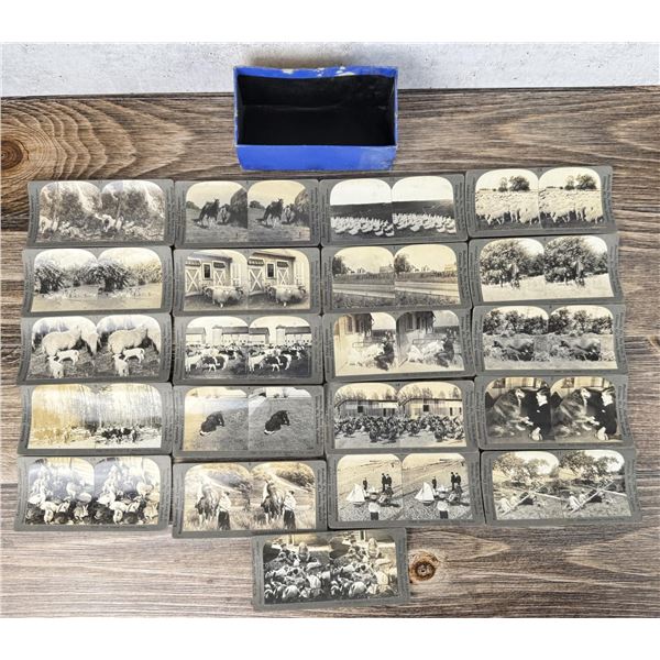 Keystone Stereoview Set Farm Animals