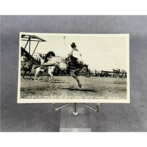 Wolf Point Rodeo Montana RPPC Postcard