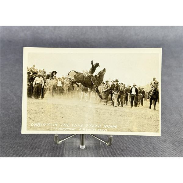 Wolf Point Rodeo Montana RPPC Postcard