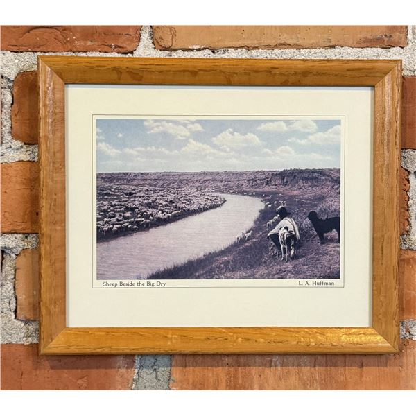 LA Huffman Montana Photo Sheep Beside the Big Dry