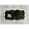 Image 1 : 1910 Illinois Graveyard RPPC Postcard