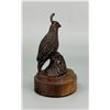 Image 5 : Quail Bronze