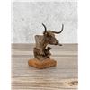 Image 1 : Jason Scull Cactus Calf Longhorn Bronze