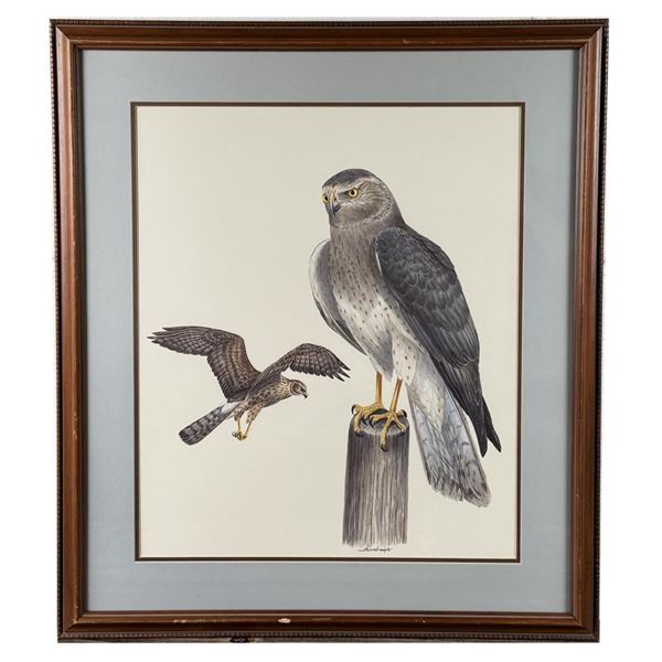Joe Thornbrugh Montana Red Tail Hawks Painting