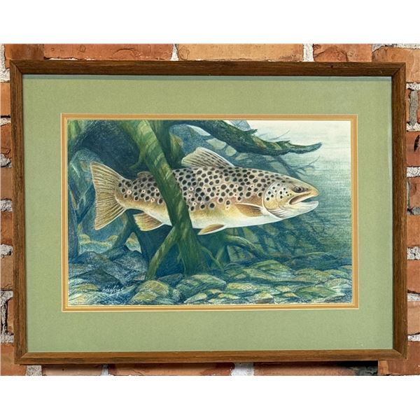 Ron Jenkins Brown Trout Pastel Drawing