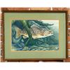 Image 1 : Ron Jenkins Brown Trout Pastel Drawing