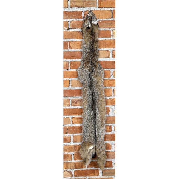 Beautiful Alaskan Lynx Fur Pelt Taxidermy