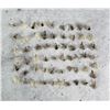 Image 1 : Collection of Montana Trout Fishing Flies