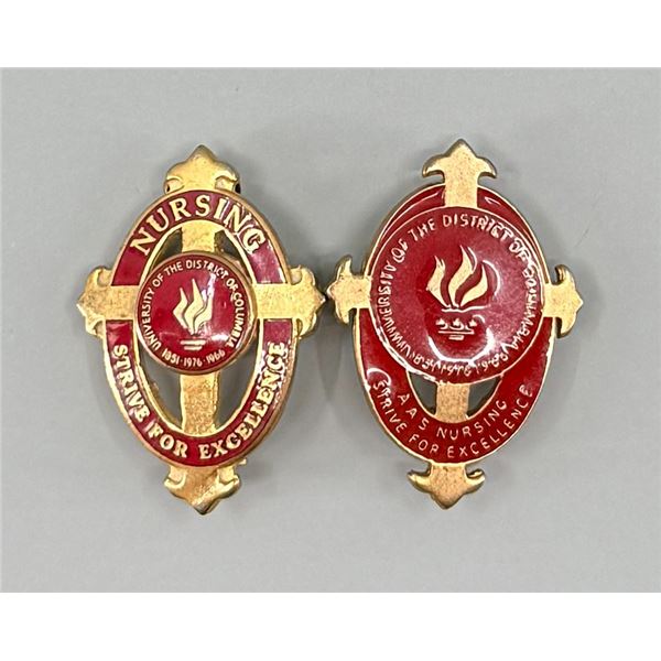University District of Columbia Nursing Pins