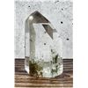 Image 2 : Himilayan Chlorite Quartz Lemurian Crystal Spire