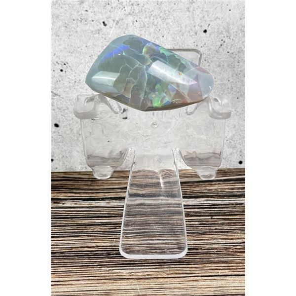 61ct Lightning Ridge Australia Mackerel Opal