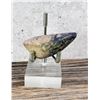 Image 3 : 177.5ct Lightning Ridge Australian Boulder Opal