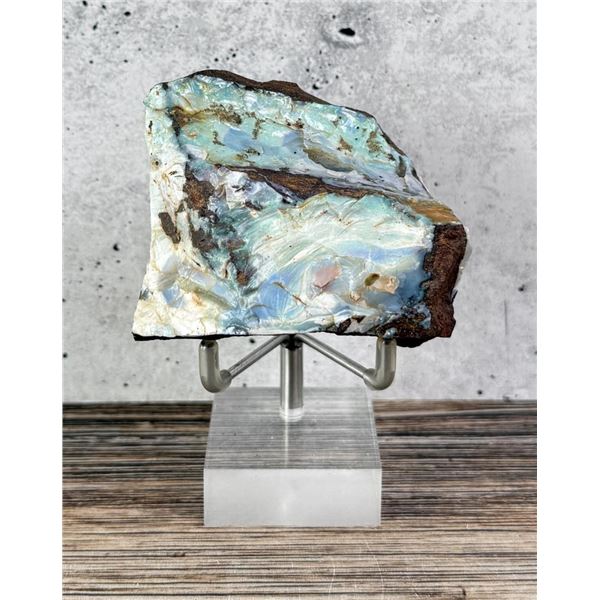 1165ct Black Australian Boulder Opal Rough