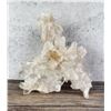 Image 3 : Himalayan Lemurian Quartz Cluster Mineral Specimen