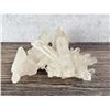 Image 4 : Himalayan Lemurian Quartz Cluster Mineral Specimen