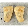 Image 3 : Montana Bull Elk Teeth
