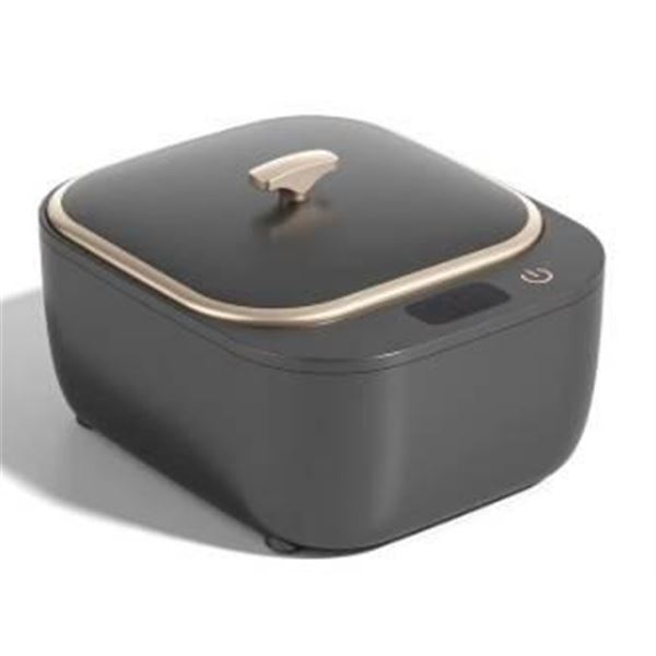 Ultrasonic Cleaning Machine RA-956 with ABS Material Construction