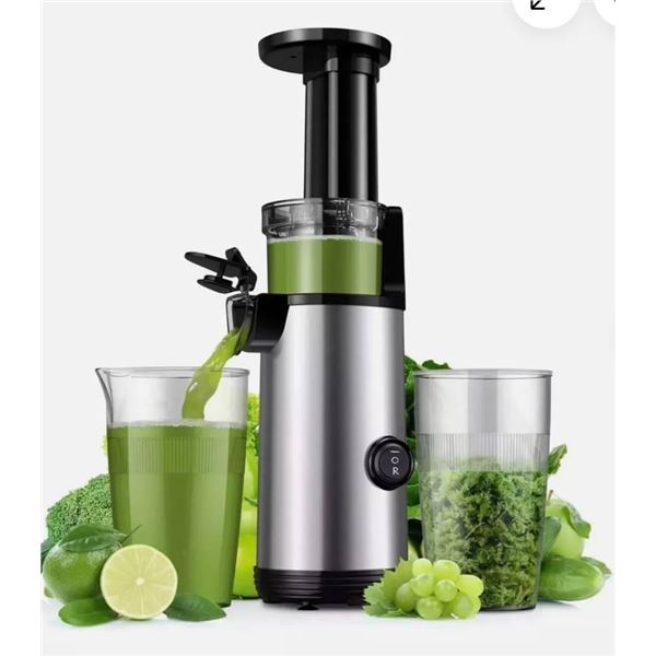 Kidisle SJ-008 Cold Press Juicer Powerful Masticating Juicer Machines 600ml