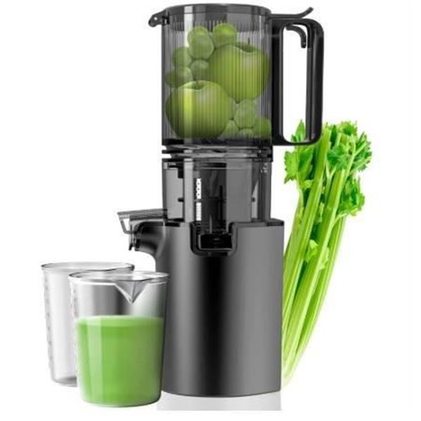 Canoly JE-B8 Slow Masticating Juicer