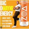 Image 1 : Cans of ZOA Wild Orange Energy Drink 12×355 ml