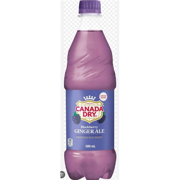Canada Dry Blackberry Ginger Ale 500 mL Bottles – 24 Count