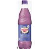 Image 1 : Canada Dry Blackberry Ginger Ale 500 mL Bottles – 24 Count