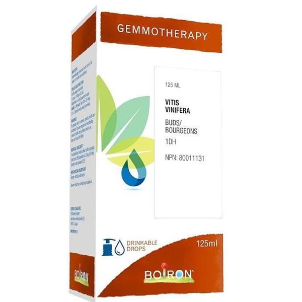 Boiron 125ml Betula Verru.Brg 1DH Mac.Glyc Gemmotherapy Drops