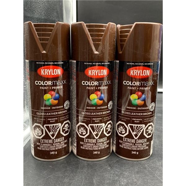 Krylon Colormaxx Paint + Primer, Gloss Leather Brown, Indoor/Outdoor, 340g