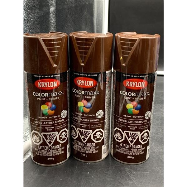 Krylon Colormaxx Gloss Leather Brown Indoor/Outdoor Paint and Primer, 340g