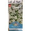 Image 1 : Lot of 5 Packs – Mr. Fothergill’s Alyssum Alyssé Carpet of Snow Flower Packs