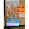 Image 1 : Lot of 5 Packs – Mr. Fothergill’s Grass Pink Pampas Seed Packs