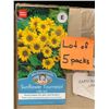 Image 1 : Lot of 5 Packs of Mr. Fothergill’s Sunflower Tournesol Little Leo Seeds