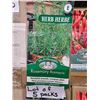 Image 1 : Lot of 5 Packs  Mr. Fothergill’s Rosemary Herb Seed Packs