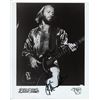 Image 1 : The Bee Gees Maurice Gibb signed photo