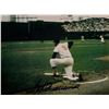 Image 1 : Boston Red Sox Ted Williams signed photo