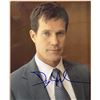 Image 1 : Blue Bloods Dylan Walsh signed photo