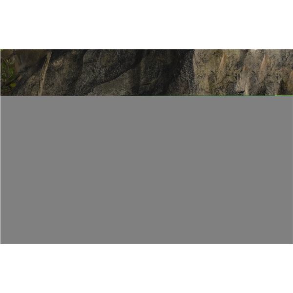 Original African Safari photo