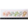 Image 1 : NEW BUTTERFLY MINI ALLIGATOR HAIR CLIPS