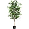 Image 1 : NEW LAIWOT ARTIFICIAL FISCUS TREE - 5FT