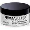 Image 1 : NEW 28G DERMABLEND LOOSE SETTING POWDER