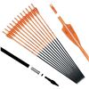 Image 1 : NEW POINTDO 30" CARBON FIBER ARROWS FLUORESCENT
