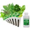 Image 1 : NEW 2 X 6 POD AEROGARDEN INTERNATIONAL BASIL