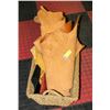 Image 1 : TANNED MOOSE, ELK & DEER HIDE ALL TOGETHER-ESTATE