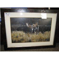 autumn Foraging - Moose Print By Ron Parker