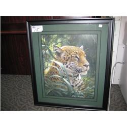 rainforest Jaguar Print By Robert Bateman