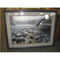 eagle Over Water Print By Kevin Daniel