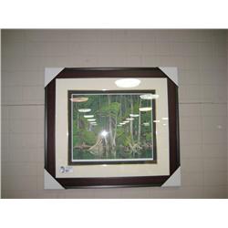 the Blue Heron Lep By Aj Casson